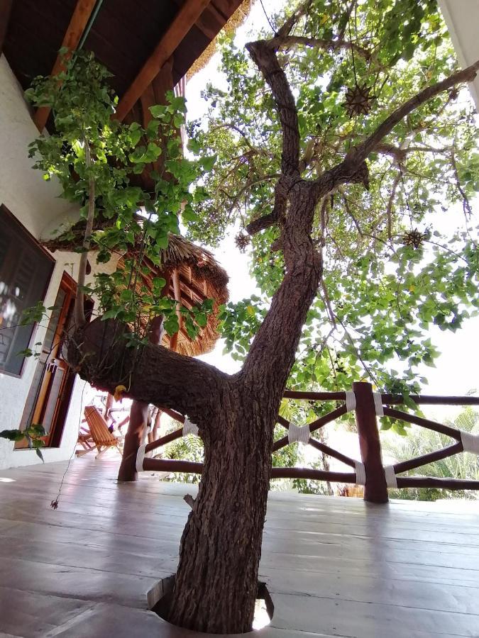 Casa Mech Hotel Isla Holbox ภายนอก รูปภาพ